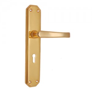 "Terah" Brass Door Handle with Plate 